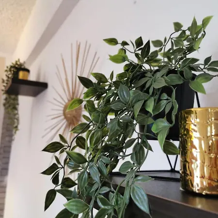 Apartment Priska *